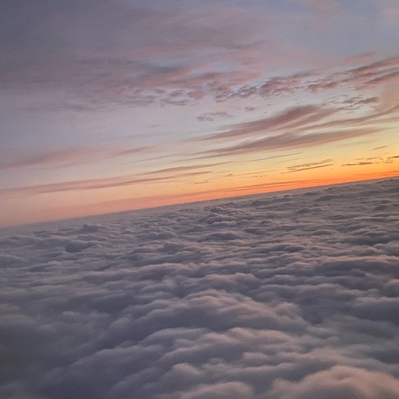 Meet your Posher, Grace - Picture 1 of 1